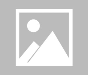 九游官网-包含中超国际比赛日走向成谜，广州队再遭质疑，目标明确，临场指挥获称赞的词条